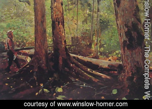 Winslow Homer - Woodchopper in the Adirondacks