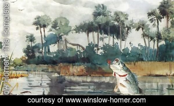 Winslow Homer - Black Bass, Florida