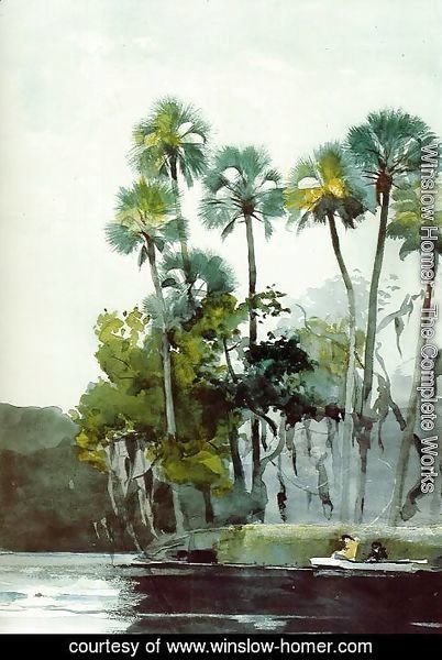 Winslow Homer - Homosassa River