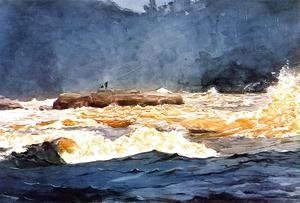 Winslow Homer - Fishing the Rapids, Saguenay