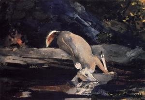 Winslow Homer - Fallen Deer