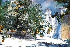 Winslow Homer - Orange Tree, Nassau (or Orange Trees and Gate)