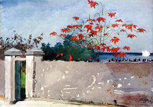Winslow Homer - A Wall, Nassau