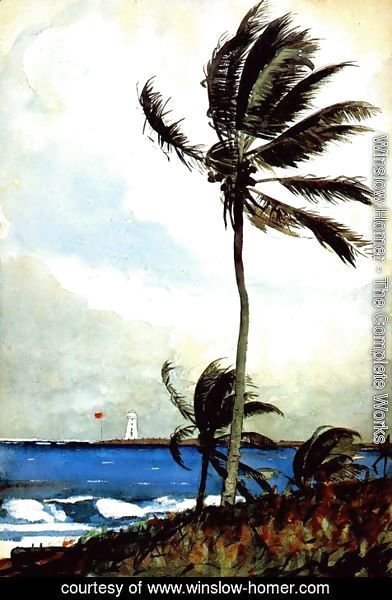 Winslow Homer - Palm Tree, Nassau