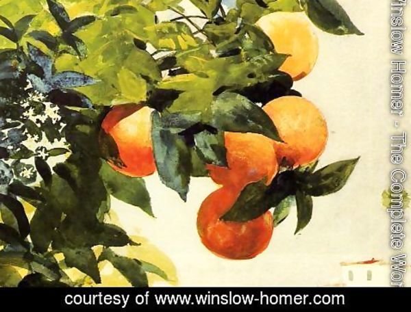 Winslow Homer - Oranges on a Branch