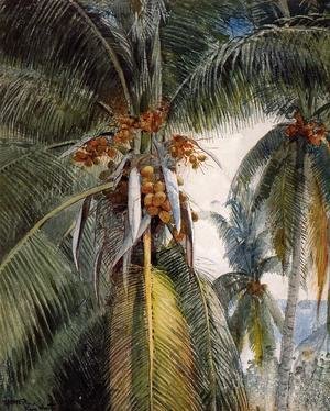 Winslow Homer - Coconut Palms, Key West