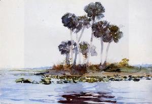 Winslow Homer - St. John's River, Florida I