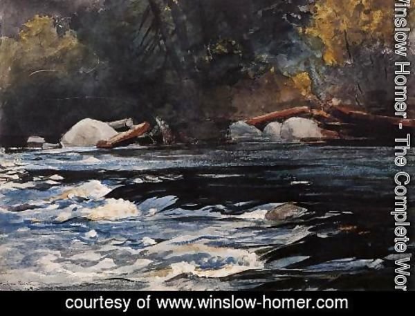 Winslow Homer - The Rapids, Husdon River, Adirondacks