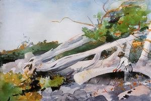 Winslow Homer - Guide Hiding a Canoe