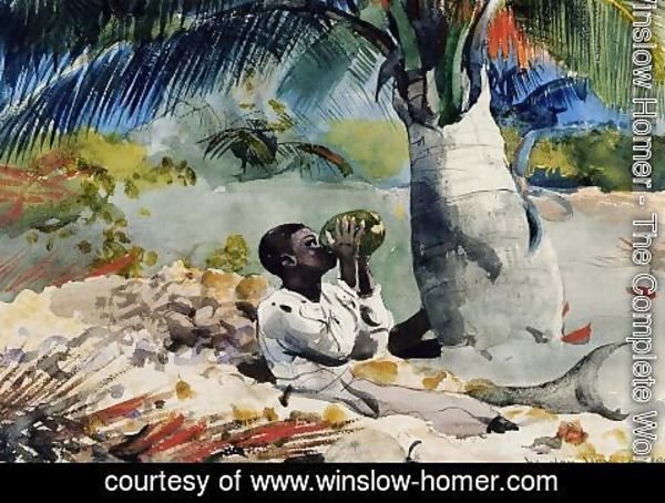 Winslow Homer - Under the Coco Palm