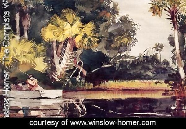 Winslow Homer - Homasassa Jungle