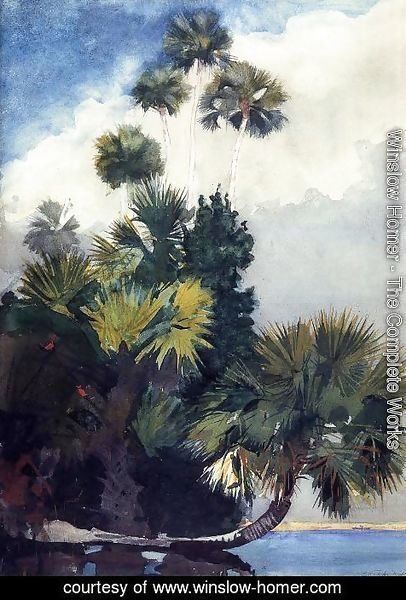 Winslow Homer - Palm Trees, Florida