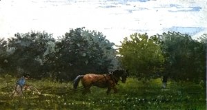 Winslow Homer - Horse and Plowman, Houghton Farm