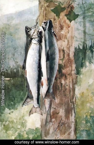 Winslow Homer - Adirondack Catch