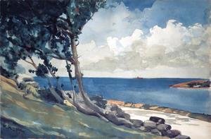 Winslow Homer - North Road, Bermuda