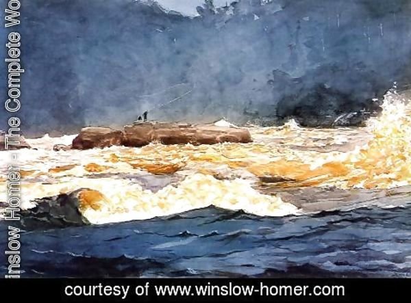 Winslow Homer - Fishing the Rapids, Saguenay