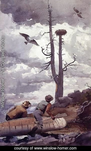 Winslow Homer - Osprey's Nest