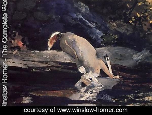 Winslow Homer - Fallen Deer