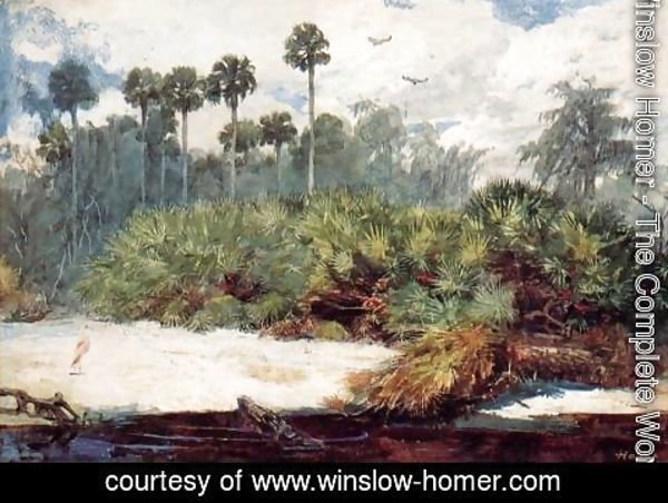 Winslow Homer - In a Florida Jungle