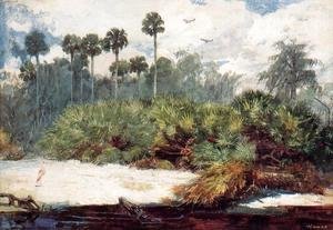 Winslow Homer - In a Florida Jungle