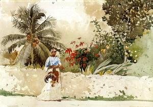 Winslow Homer - On the Way to the Bahamas