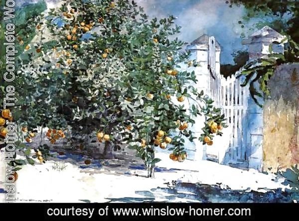Winslow Homer - Orange Tree, Nassau (or Orange Trees and Gate)
