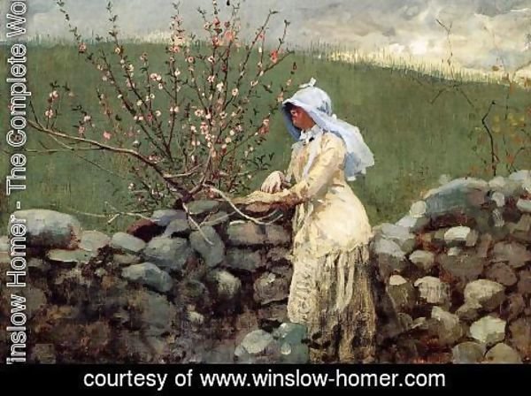 Winslow Homer - Peach Blossoms
