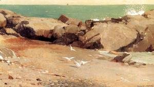 Winslow Homer - Rocky Coast and Gulls