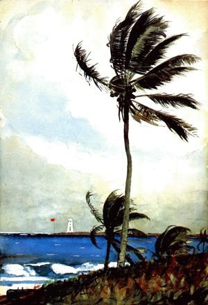 Winslow Homer - Palm Tree, Nassau