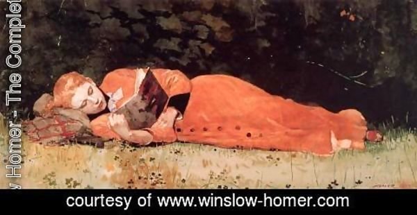 Winslow Homer - The New Novel