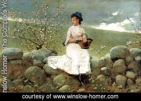 Winslow Homer - Peach Blossoms I