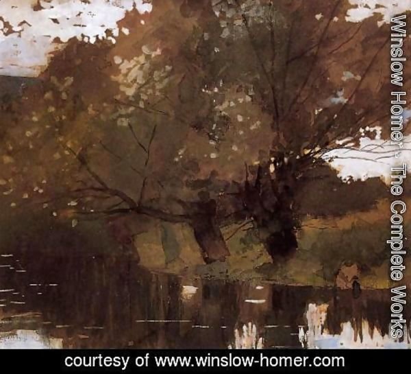 Winslow Homer - Pond and Willows, Houghton Farm