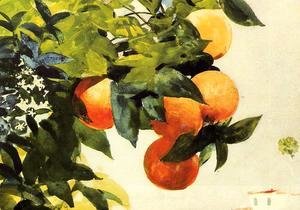 Oranges on a Branch