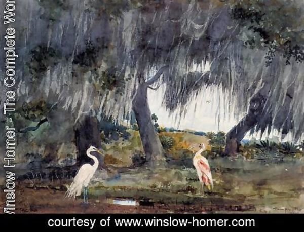 Winslow Homer - At Tampa