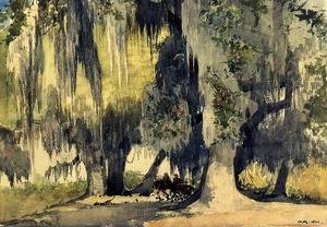 Winslow Homer - Live Oaks