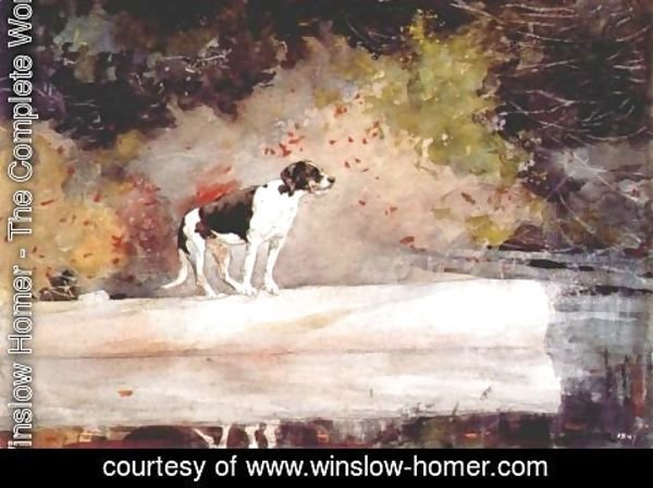 Winslow Homer - Dog on a Log