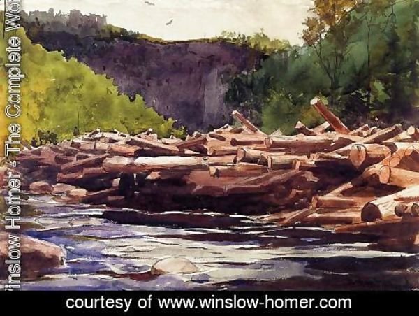 Winslow Homer - Hudson River at Blue Ledge, Essex County