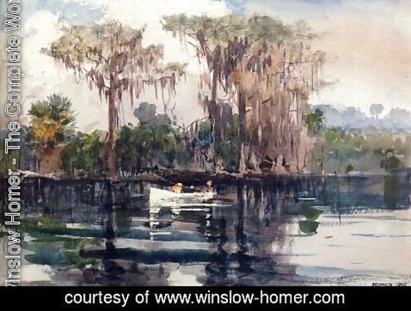 Winslow Homer - St. John's River, Florida