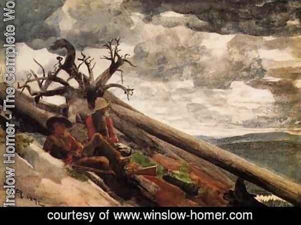 Winslow Homer - Burnt Mountain