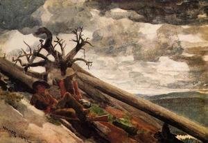 Winslow Homer - Burnt Mountain