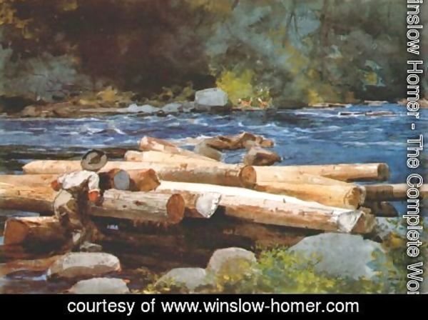 Winslow Homer - Hudson River