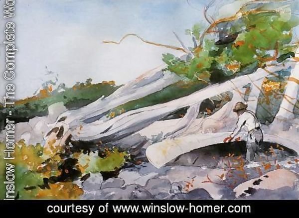 Winslow Homer - Guide Hiding a Canoe