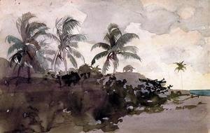 Winslow Homer - Coconut Palms