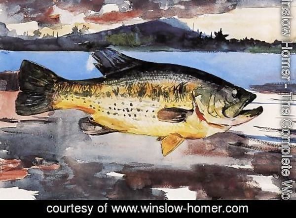 Winslow Homer - Bass