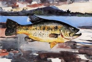 Winslow Homer - Bass