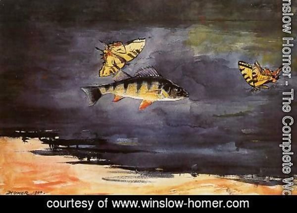 Winslow Homer - Fish and Butterflies