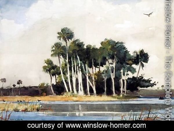 Winslow Homer - The Turkey Buzzard