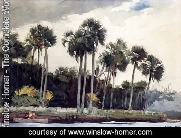 Winslow Homer - Red Shirt, Homosassa, Florida