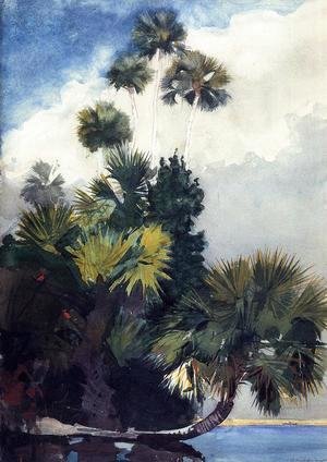 Winslow Homer - Palm Trees, Florida
