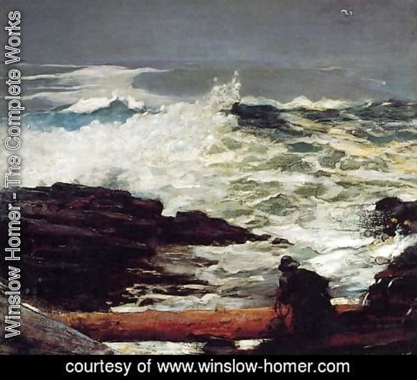 Winslow Homer - Driftwood